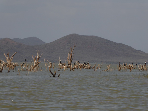  Kenia  Lake Baringo Island Camp