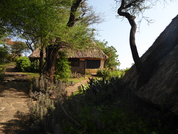  Kenia  Lake Baringo Island Camp