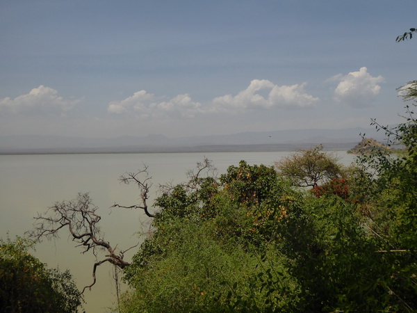 Kenia  Lake Baringo Island Camp