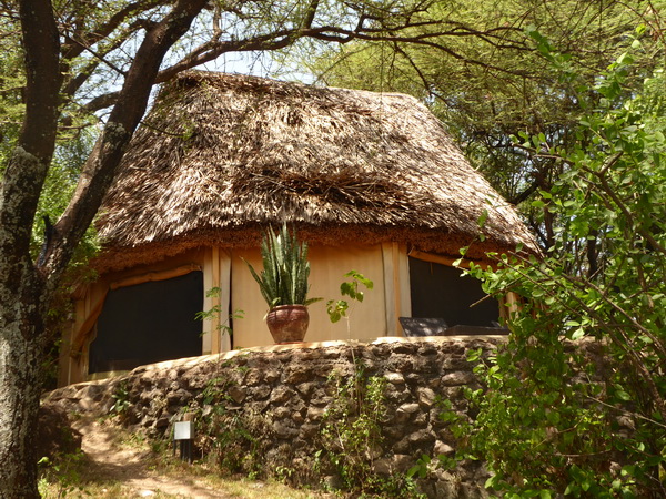  Kenia  Lake Baringo Island Camp Our Banda