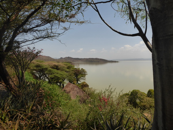  Kenia  Lake Baringo Island Camp Our Banda