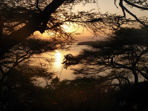 Kenia  Lake Baringo Island Camp Frühstückssonne