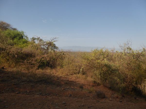  Kenia  Lake Baringo Island Camp Look Back