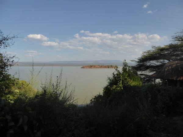  Kenia  Lake Baringo Island Camp our Banda