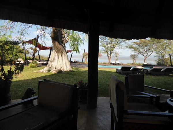  Kenia  Lake Baringo Island Camp Poolarea