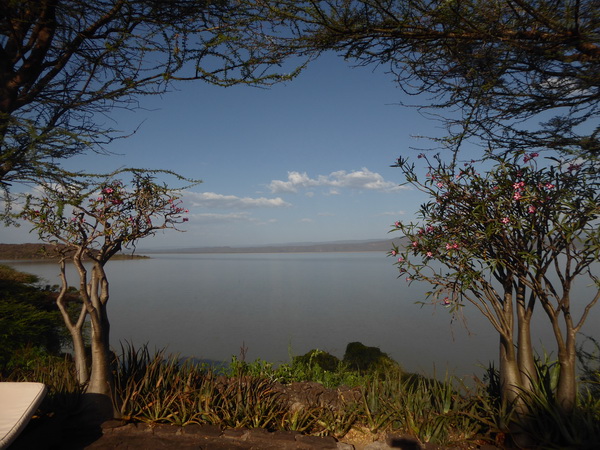  Kenia  Lake Baringo Island Camp Pool