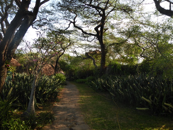  Kenia  Lake Baringo Island Camp Pool