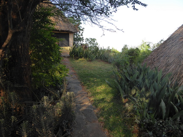  Kenia  Lake Baringo Island Camp Pool