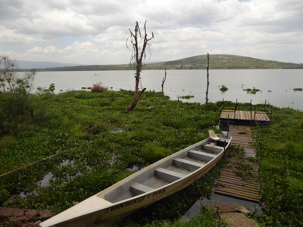    Kenia   Elsamere Naivasha Kenia   Elsamere Naivasha