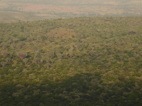 escarpment 