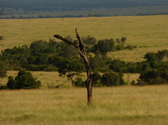 Masai Mara  Mud Masai Mara  Landscape Ballon Balloning 