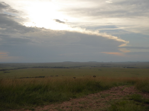 Masai Mara  Landscape