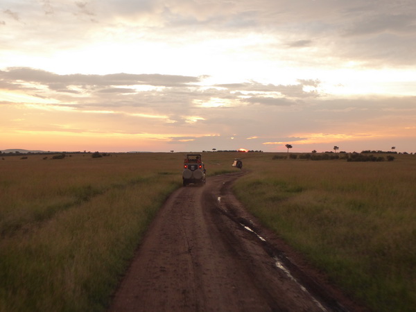 Masai Mara  Landscape