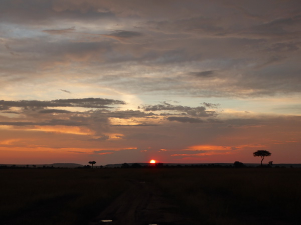 Masai Mara  Landscape