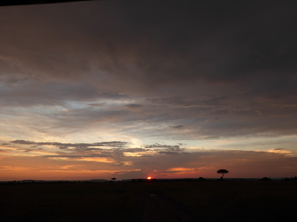 Masai Mara  Landscape