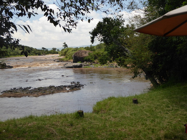   Mara Crossing Camp direkt am Mara River  Masai mara  