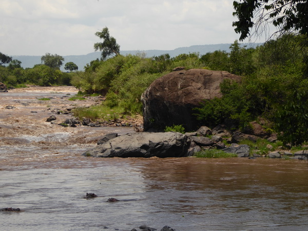   Mara Crossing Camp direkt am Mara River  Masai mara  