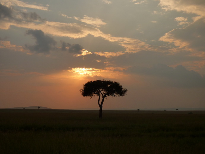 Masai Mara  Landscape Ballon Balloning 