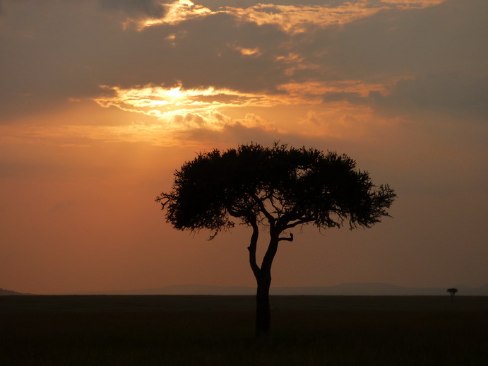 Masai Mara  Landscape Ballon Balloning 