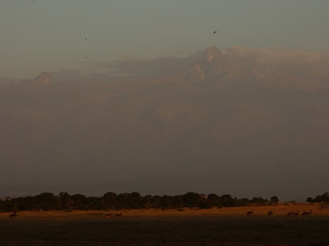 mt.kenia