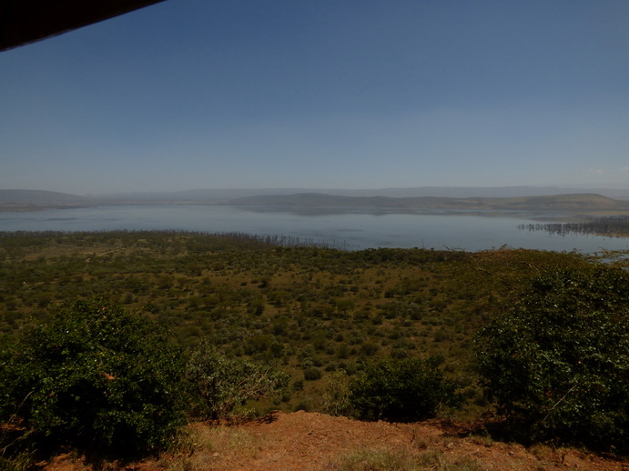 Lake Nakuru Baboon Lookout