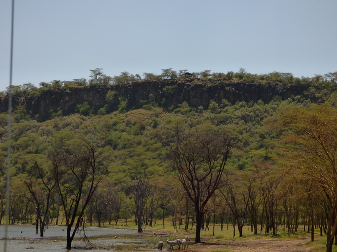 Lake Nakuru Baboon Lookout