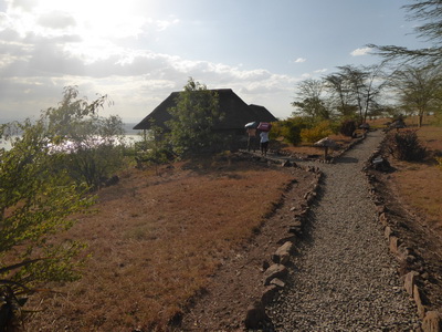 Sunbird Lodge   Lake Elementaita   Kenia   