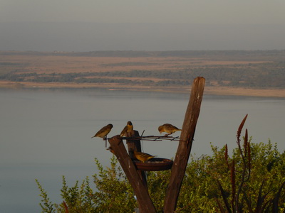   Sunbird Lodge   Lake Elementaita   Kenia   Sunbird Lodge  Lake Elementaita  Kenia   