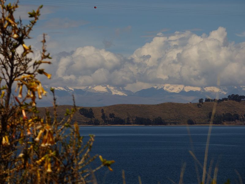 Copacabana  Lago Titicaca Titicacasee  Isla del Sol Isla de Luna Schlange Serpentina Serpiente