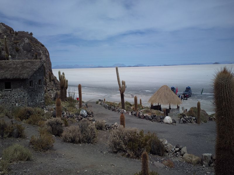 Uyuni Isla de Pescado   Uyuni – Salzseee – Reserva del Salar Incahuasi
