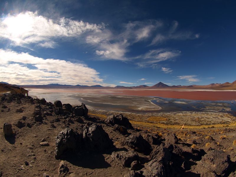 Laguna campina Bolivien Uyuni 4x4 Salzsee Saltlake  Laguna Pasto Grande Siloli Wüste