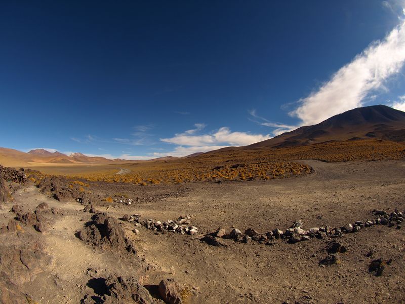 Laguna campina Bolivien Uyuni 4x4 Salzsee Saltlake  Laguna Pasto Grande Siloli Wüste