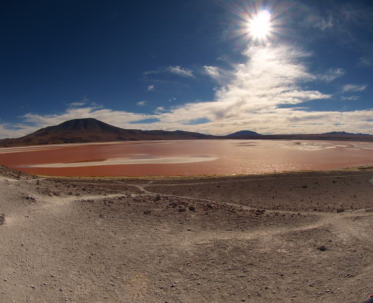 Laguna campina Bolivien Uyuni 4x4 Salzsee Saltlake  Laguna Pasto Grande Siloli Wüste