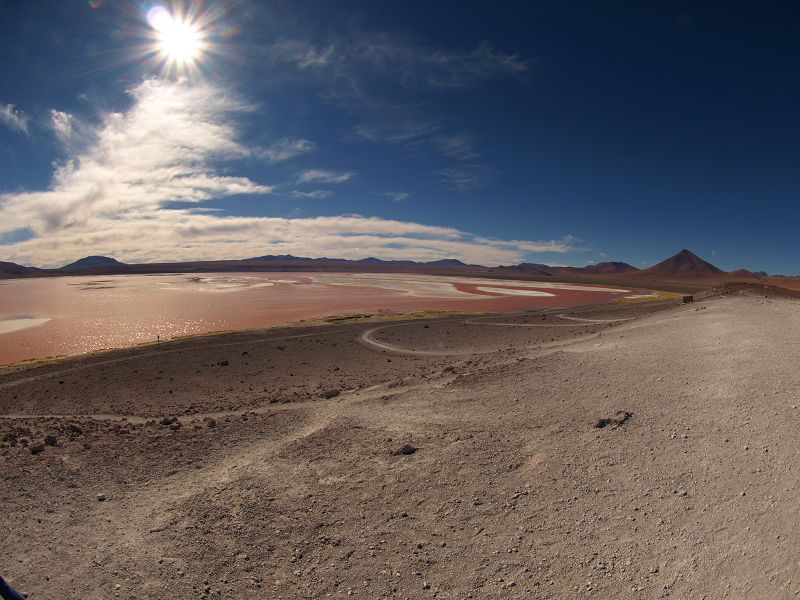 Laguna campina Bolivien Uyuni 4x4 Salzsee Saltlake  Laguna Pasto Grande Siloli Wüste