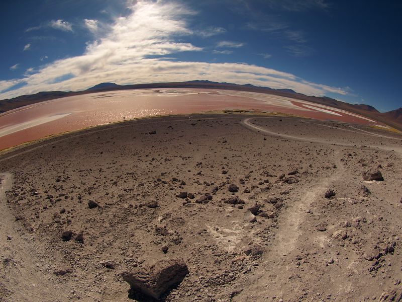 Laguna campina Bolivien Uyuni 4x4 Salzsee Saltlake  Laguna Pasto Grande Siloli Wüste