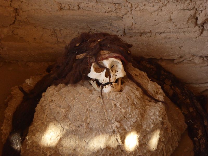 Peru Nasca Gräber von Chauchilla Mumien