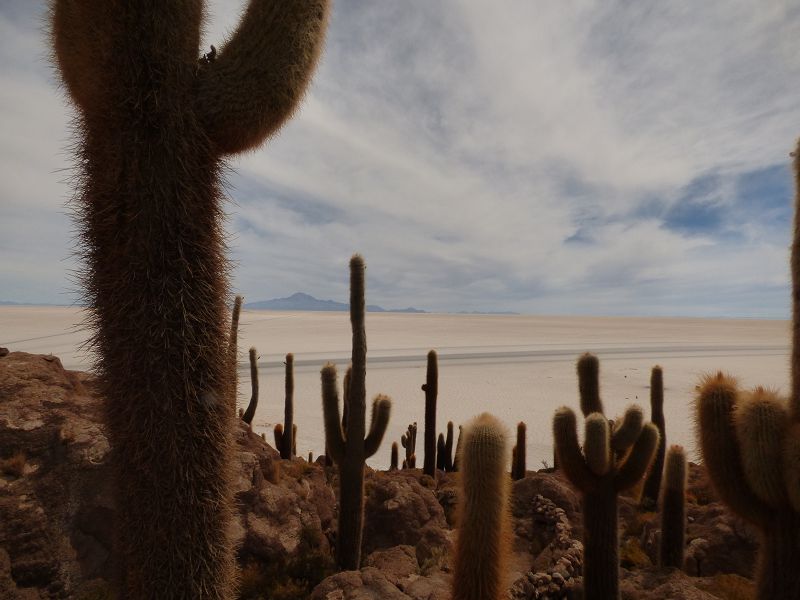 Uyuni Isla de Pescado   Uyuni – Salzseee – Reserva del Salar Incahuasi