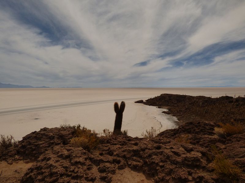 Uyuni Isla de Pescado   Uyuni – Salzseee – Reserva del Salar Incahuasi