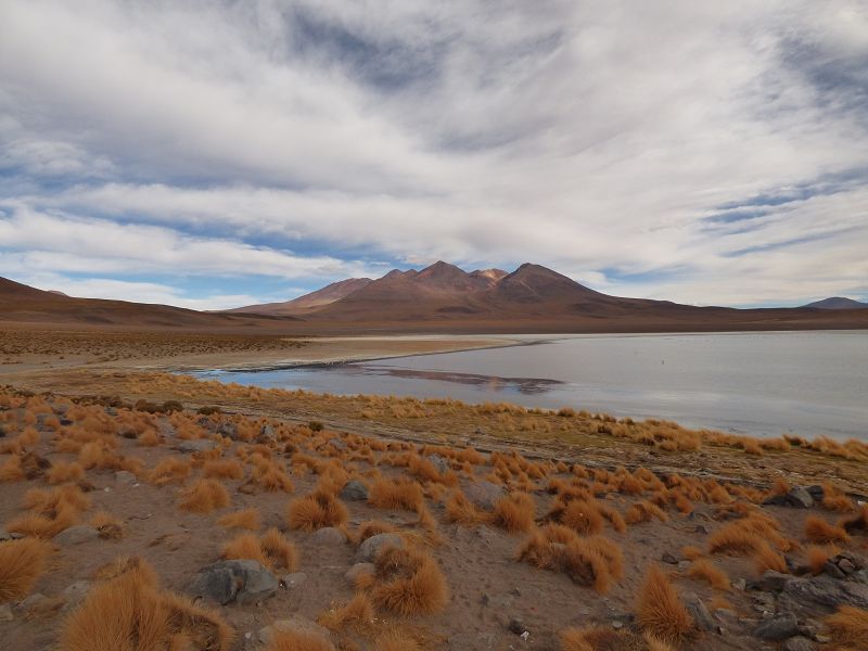 Laguna campina Bolivien Uyuni 4x4 Salzsee Saltlake  Termas de Polques Flamencos Flamingos