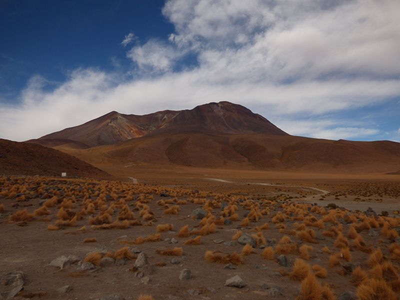 Laguna campina Bolivien Uyuni 4x4 Salzsee Saltlake  Termas de Polques Flamencos Flamingos