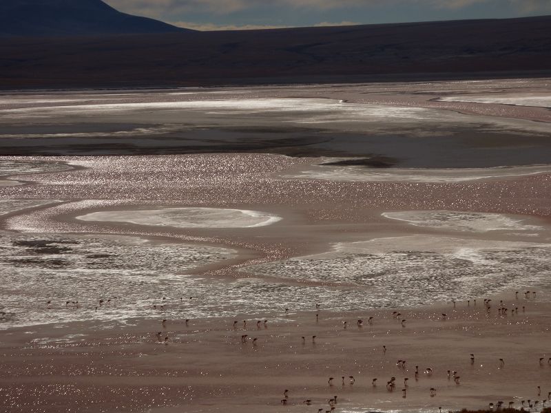 Laguna verde Bolivien Uyuni 4x4 Salzsee Saltlake Dali Desierto Flamencos Flamingos