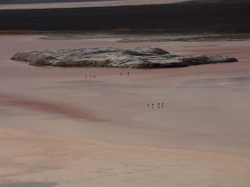 Laguna verde Bolivien Uyuni 4x4 Salzsee Saltlake Dali Desierto Flamencos Flamingos