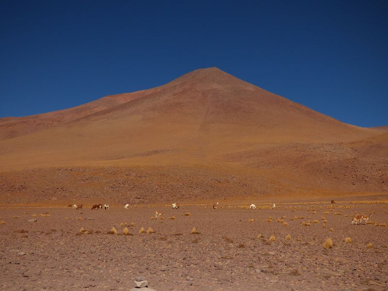 Laguna verde Bolivien Uyuni 4x4 Salzsee Saltlake Dali Desierto Flamencos Flamingos