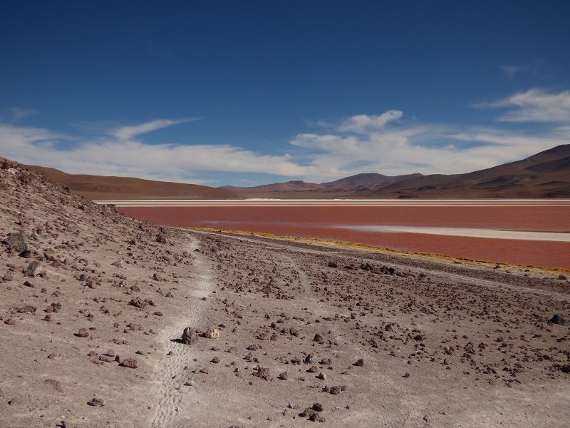   Laguna verde Bolivien Uyuni 4x4 Salzsee Saltlake Dali Desierto Flamencos FlamingosLaguna verde Bolivien Uyuni 4x4 Salzsee Saltlake Dali Desierto Flamencos Flamingos