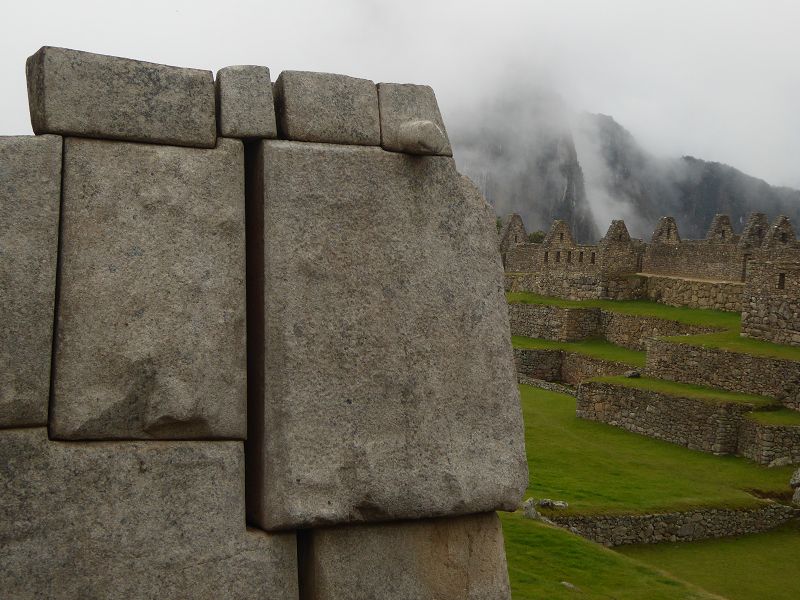 Machu Picchu coca