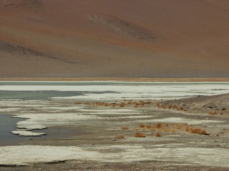 Daliwüste Farbenwüste Uyuni Luna Salada Salzsee Saltlake Dali Desierto 