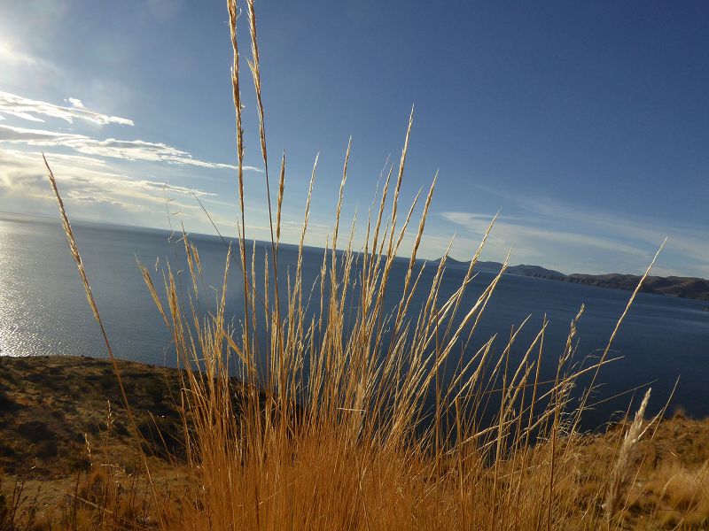 Bolivien  Copacabana  Lago Titicaca Titicacasee Aufstieg zum Kalvarienberg Inka als Heiliger Berg