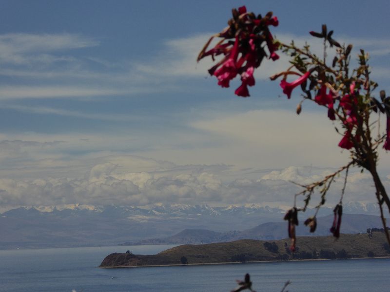 Bolivien  Copacabana  Lago Titicaca Titicacasee  Isla del Sol Isla de Luna Anden Königskordilliere