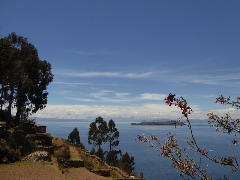 Bolivien  Copacabana  Lago Titicaca Titicacasee  Isla del Sol Isla de Luna Anden Königskordilliere