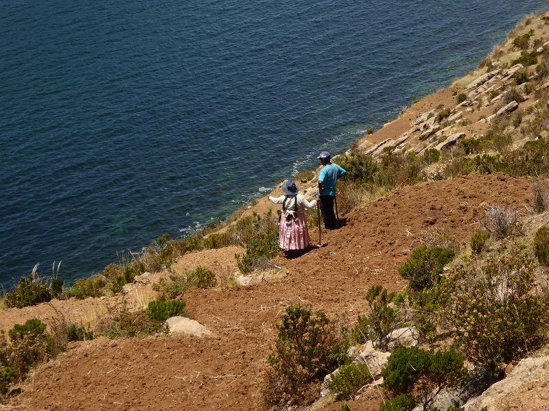 Bolivien  Copacabana  Lago Titicaca Titicacasee  Isla del Sol Isla de Luna Anden Königskordilliere